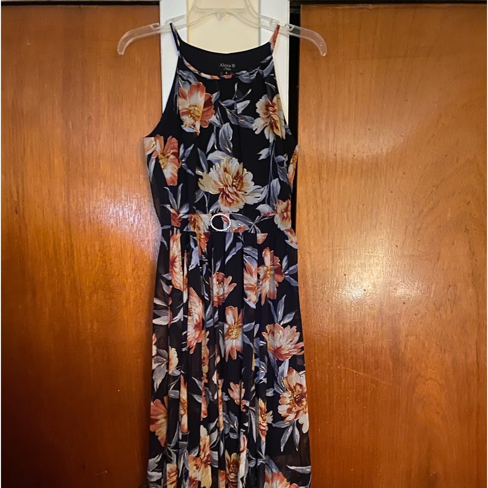 Alexa B Dress , long , maxi dress , size 4 , never worn